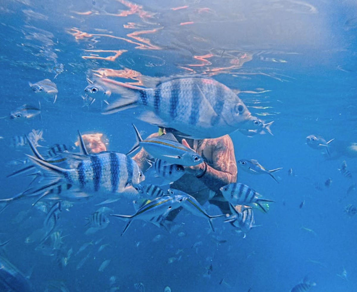Koh Chang 3 eilanden snorkelen en vissen