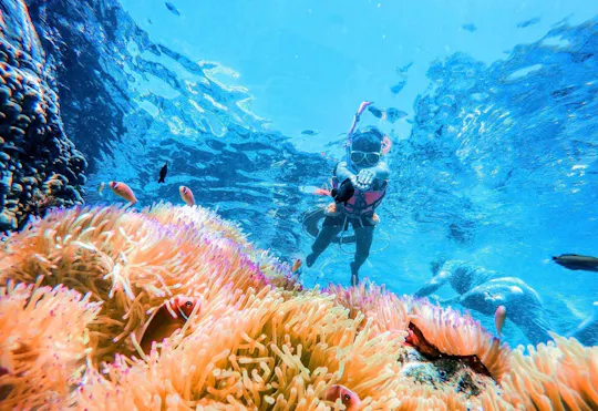 Experiência de mergulho com tubo de respiração no Parque Nacional de Rang em Koh Chang 4 ilhas
