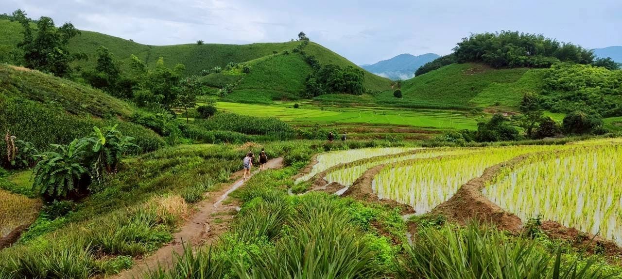 One-day trekking and Karen Village