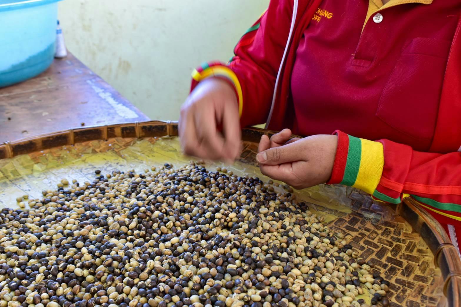 Kultowe świątynie, wodospad i ekspres do kawy - wycieczka z przewodnikiem z lunchem