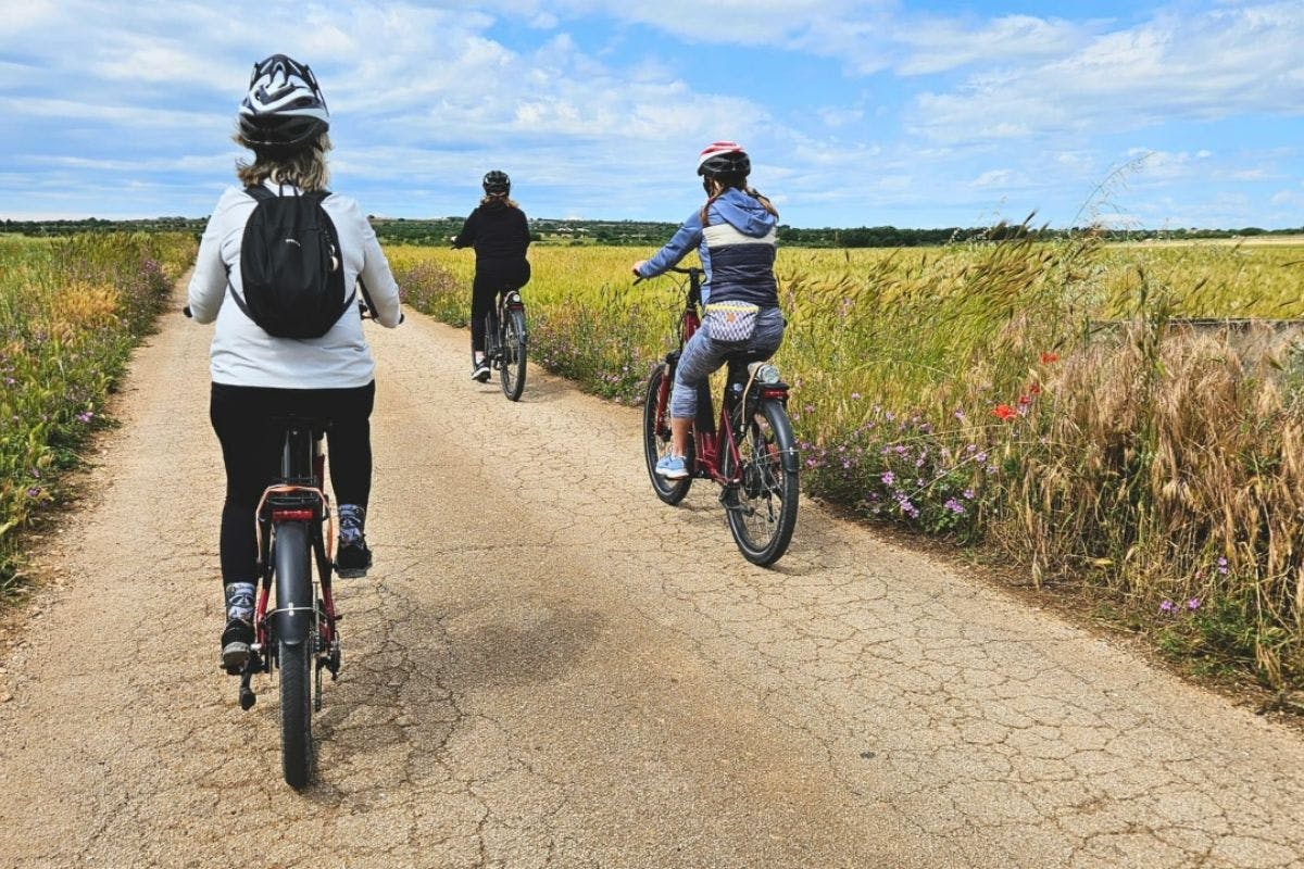 Wycieczka rowerowa Matera