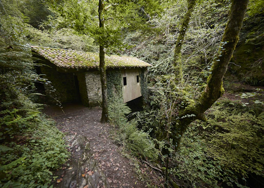 Baztan Valley and Zugarramurdi Caves guided tour from San Sebastián