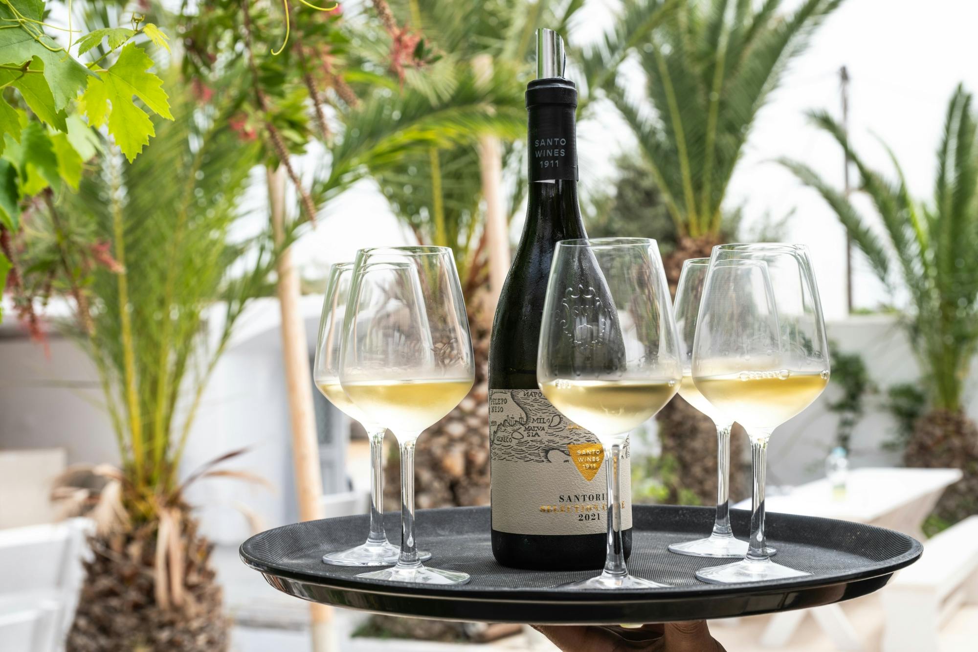 Small-group Greek cooking class in Santorini