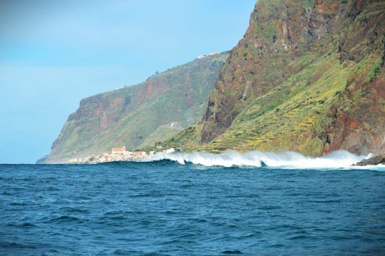 Tour privato dell'isola di Madeira per l'osservazione delle balene e lo snorkeling