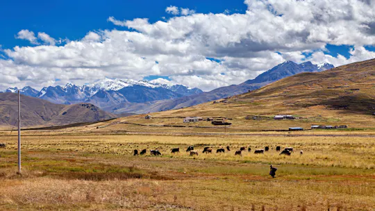 2-day Andean culture tour with local communities from Cusco