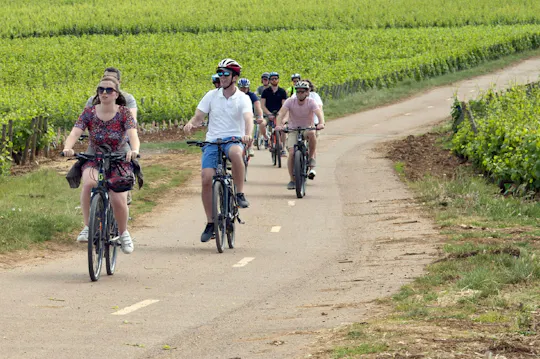 Fiets- en wijndagtocht in de Côte de Beaune in Bourgondië