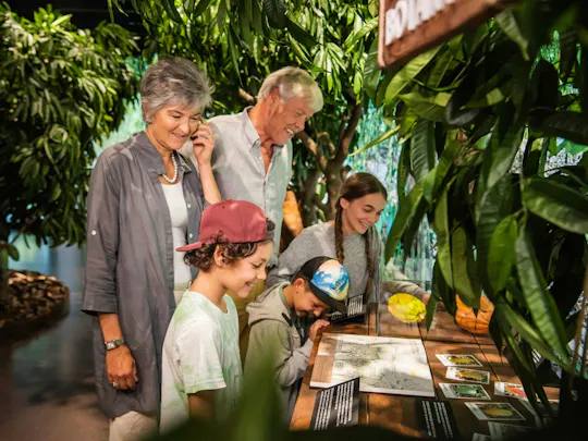 Lindt Home of Chocolate museum access with guided tour