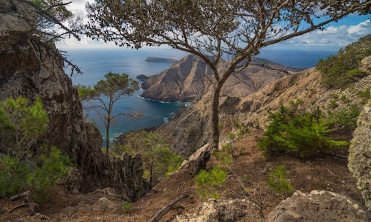 Terra Chã and Pico Branco guided hiking tour