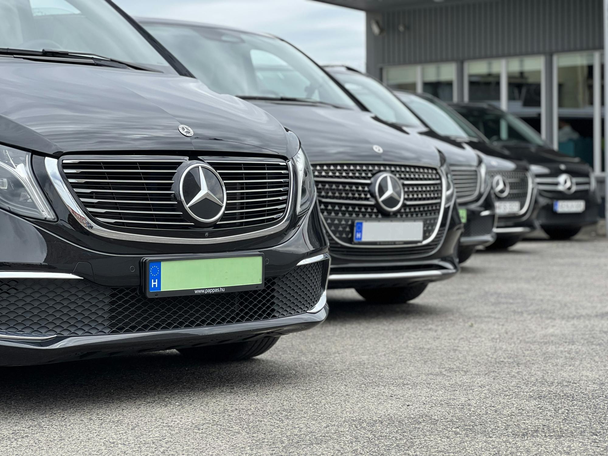 Privater Transfer zwischen dem Flughafen Ferenc Liszt und Budapest