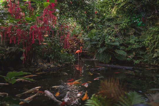Victoria Butterfly Gardens entrance ticket
