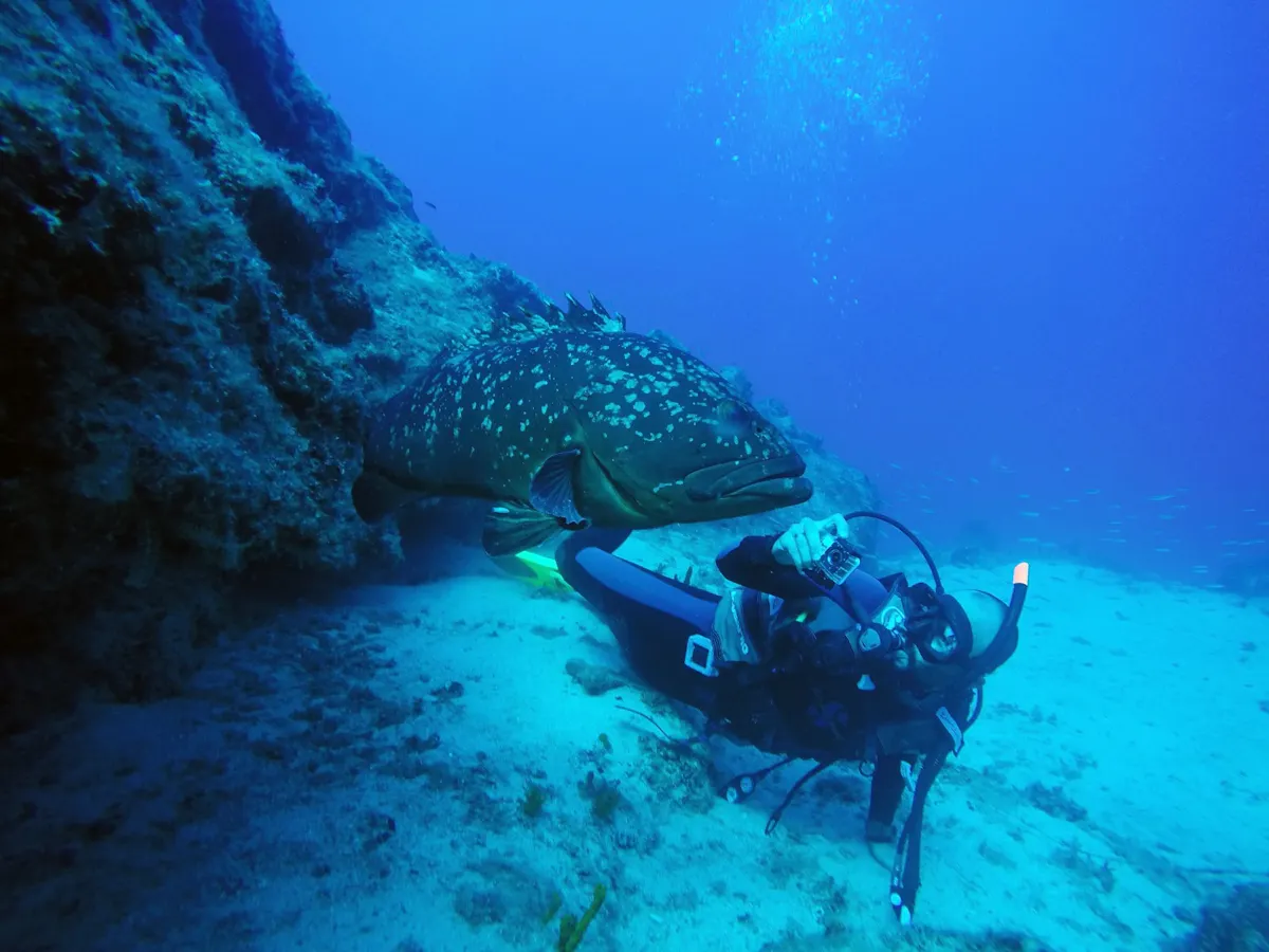 Marmaris scuba diving