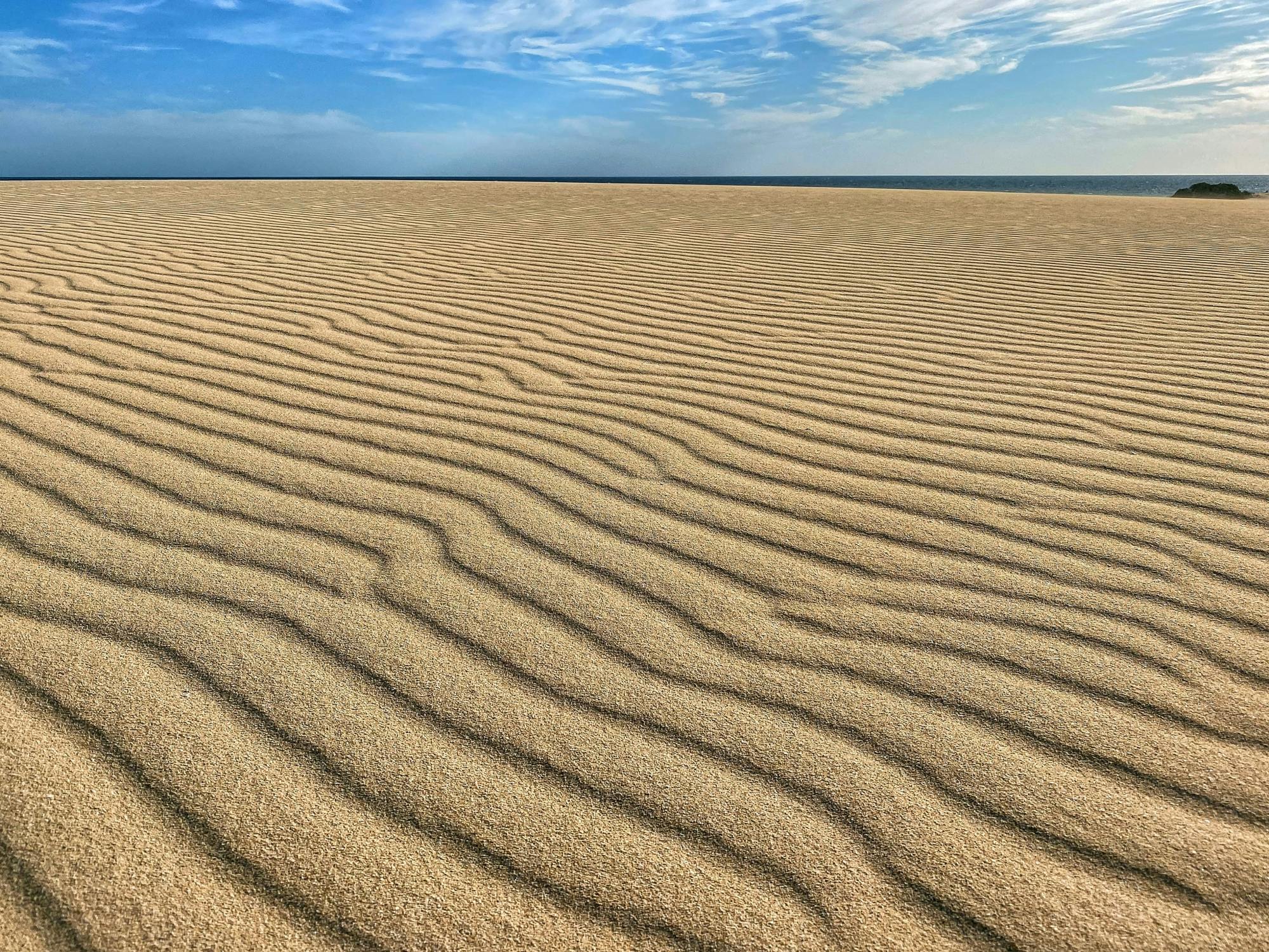 Coast-to-coast Fuerteventura north tour