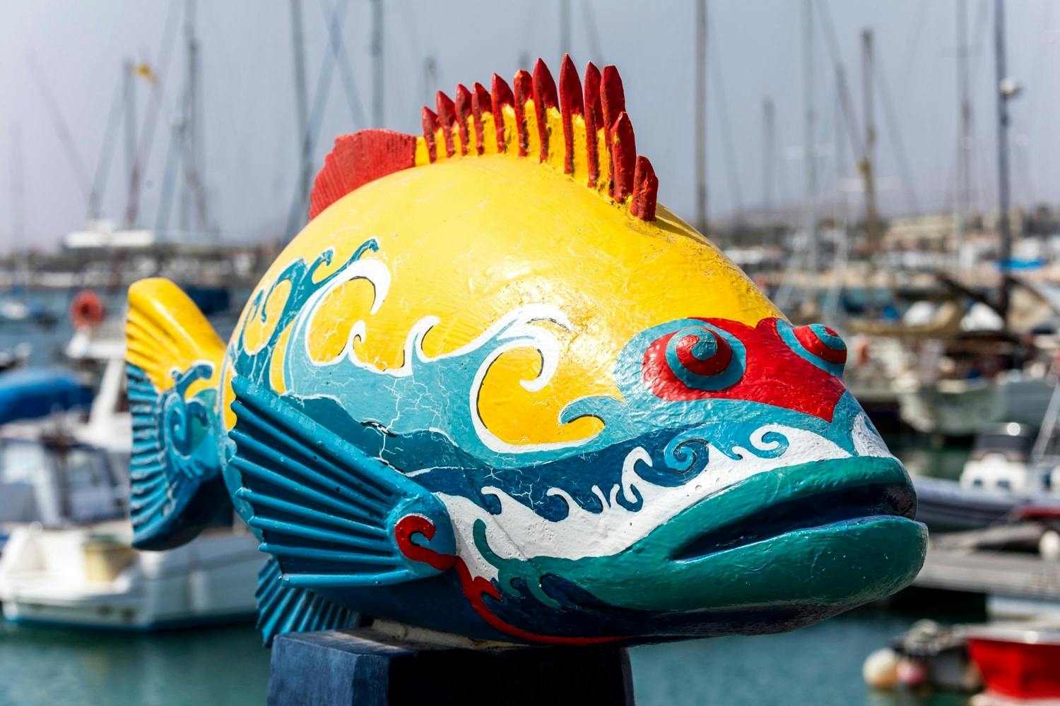 Wild north and Corralejo small-group tour from the south