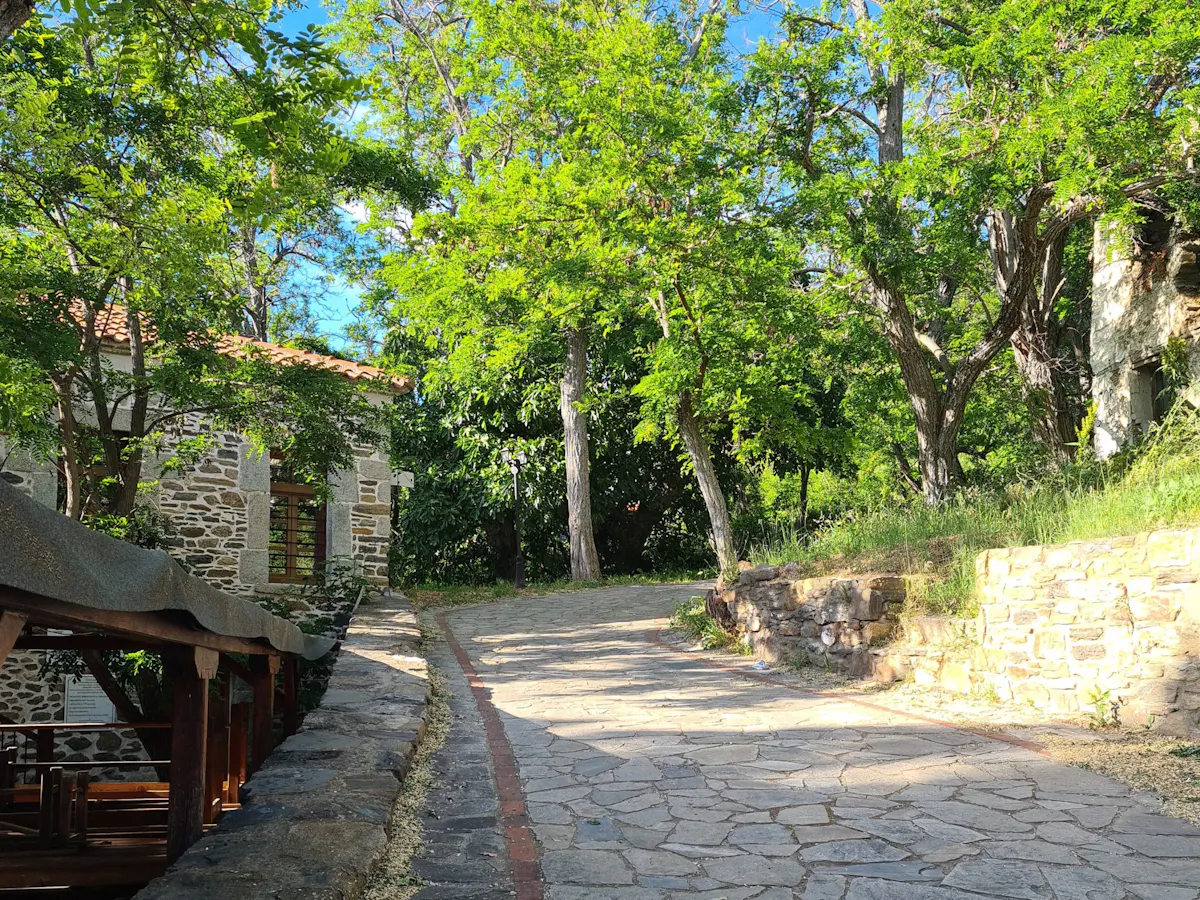 Full-day tour of Sithonia’s highlights with honey tasting and lunch