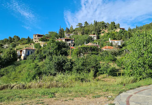 Full-day tour of Sithonia’s highlights with honey tasting and lunch