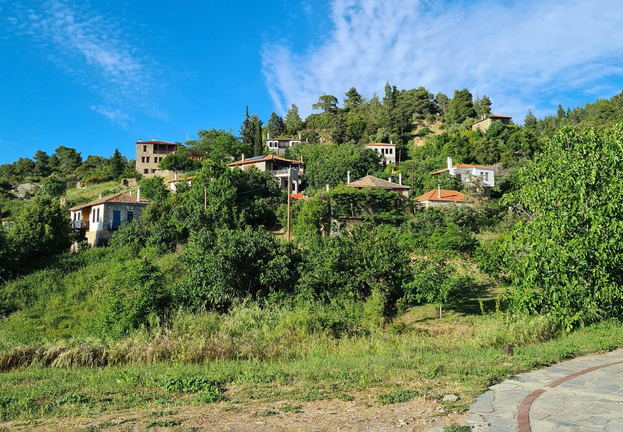 Full-day tour of Sithonia’s highlights with honey tasting and lunch