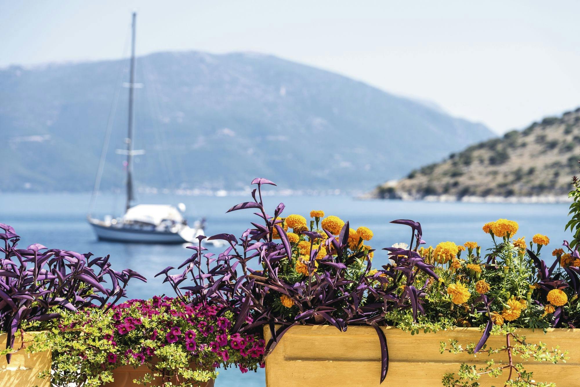 An Evening in Argostoli with Wine Tasting