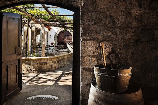 Exklusive Ischia-Inseltour mit Weingutbesuch