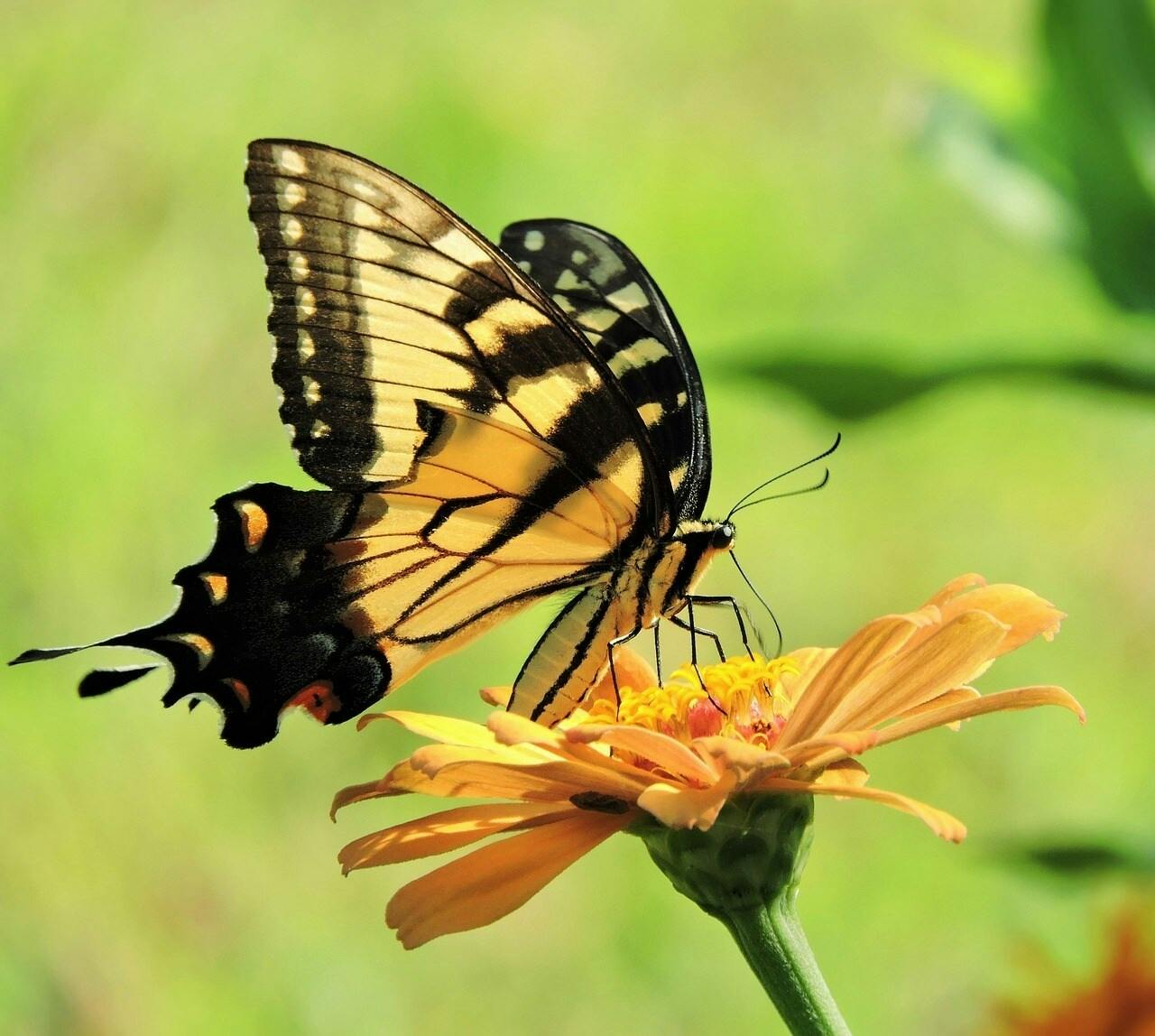 Full-day guided tour of Bali including Jatiluwih Rice Terraces
