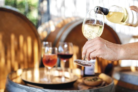 Weinprobe am Gardasee von südlichen Hotels aus