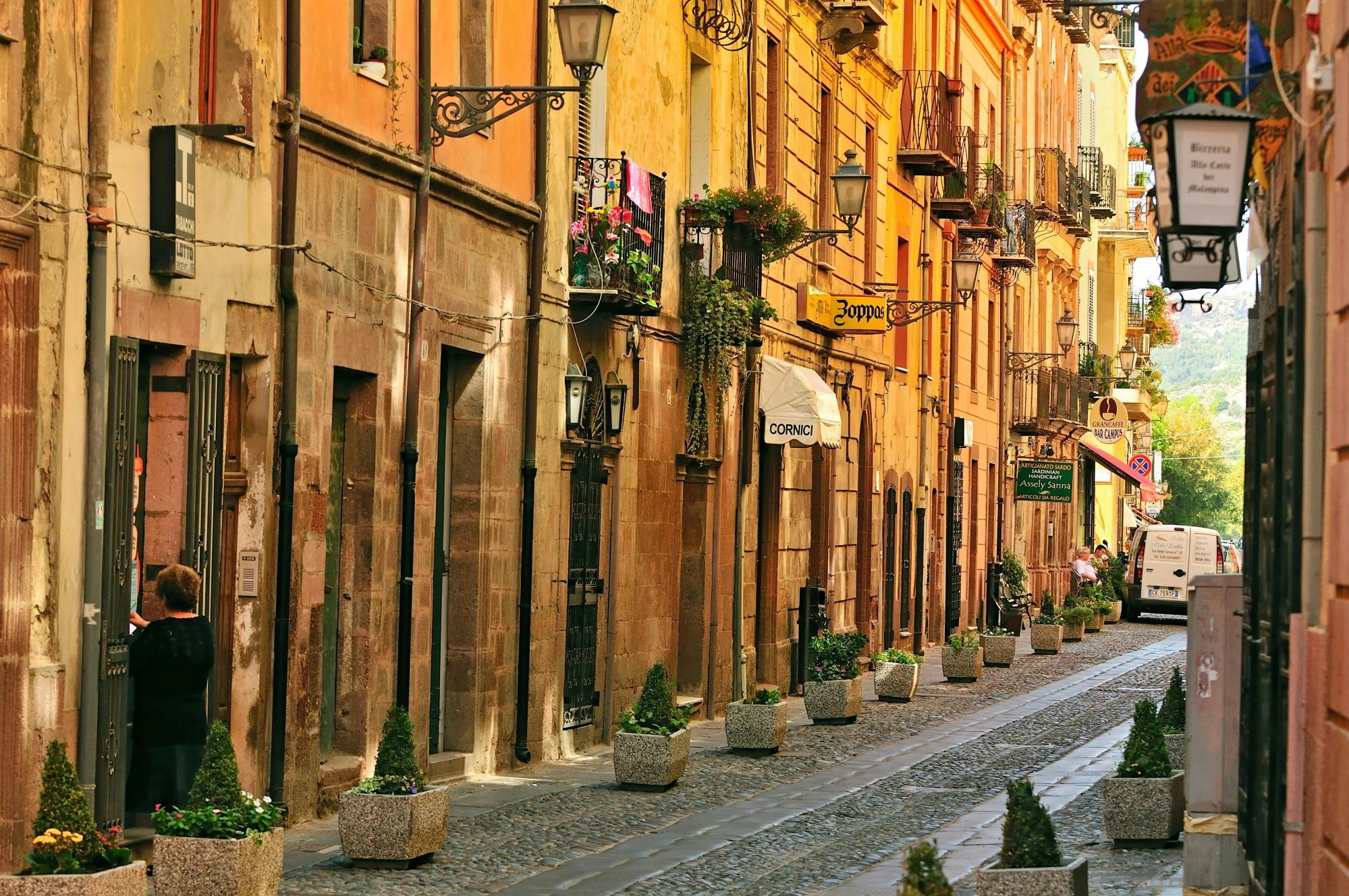 Market day in Bosa with guided tour and free time