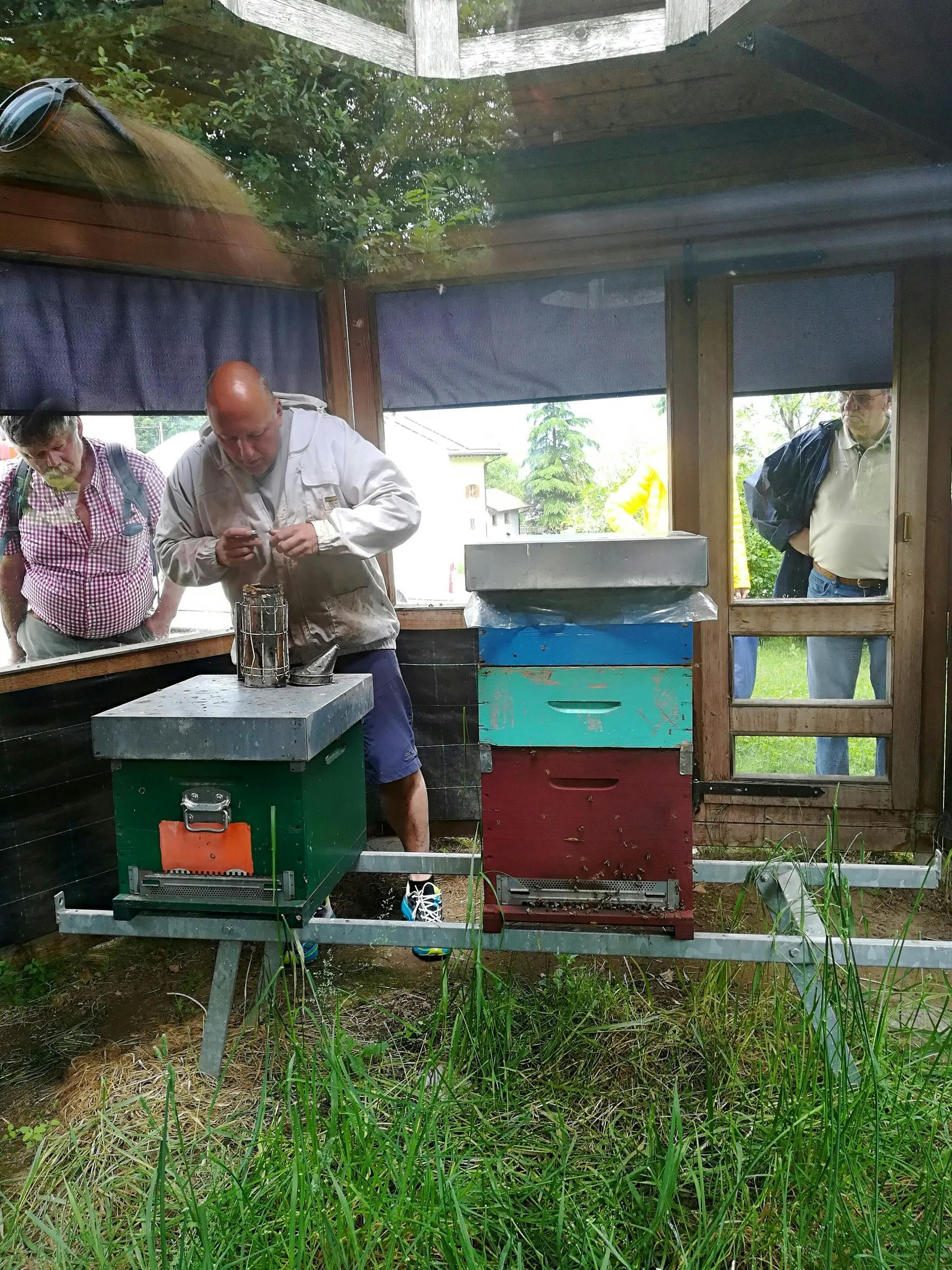 Lake Molveno with local speciality tastings