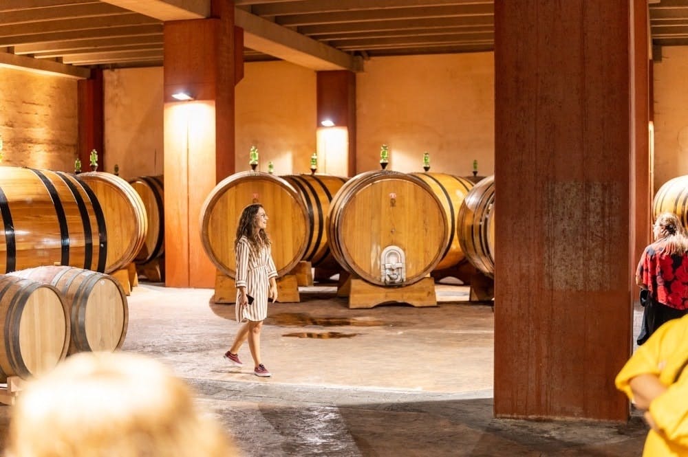 Mount Etna winery tour and tasting experience