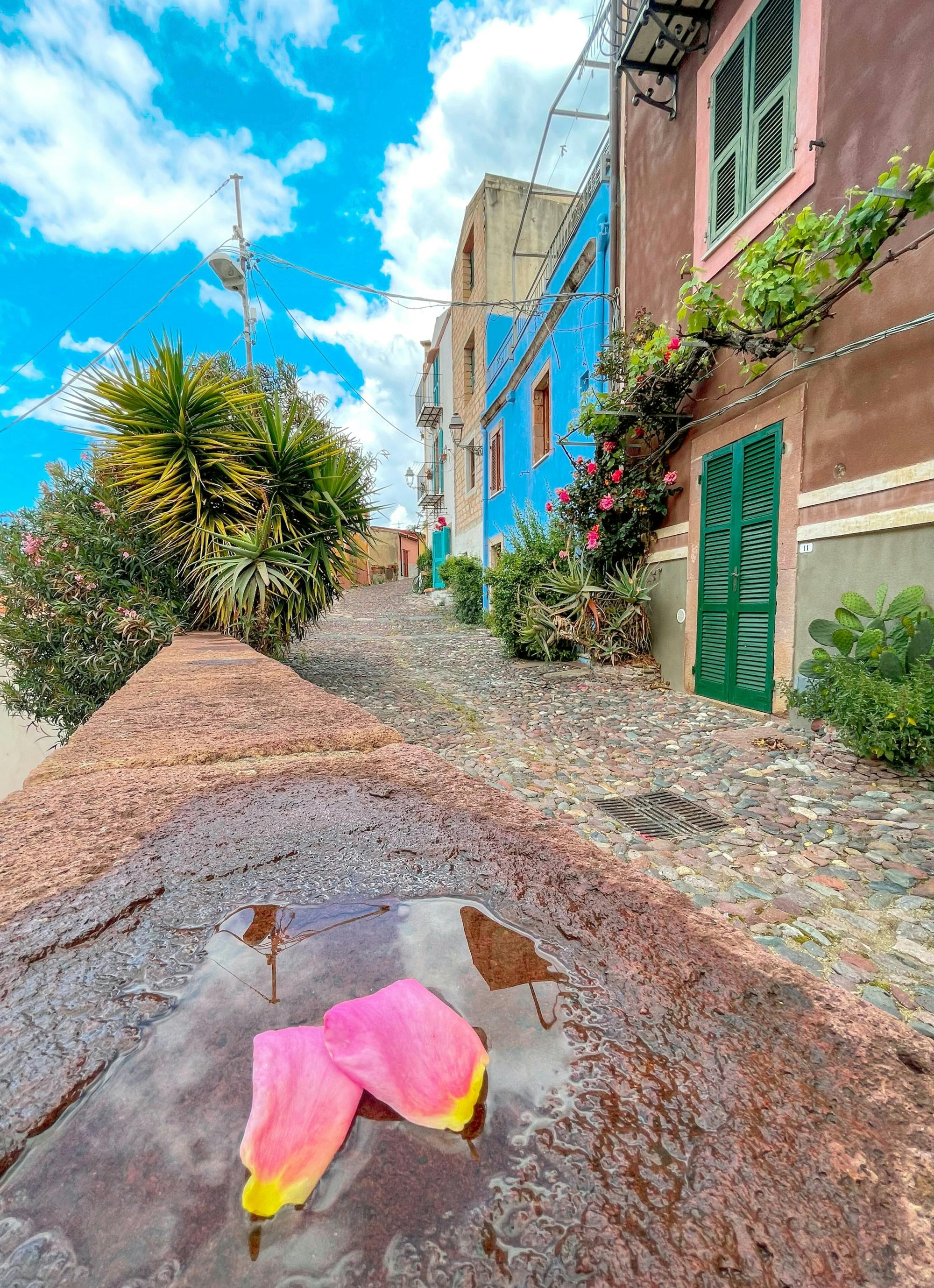 Market day in Bosa with guided tour and free time