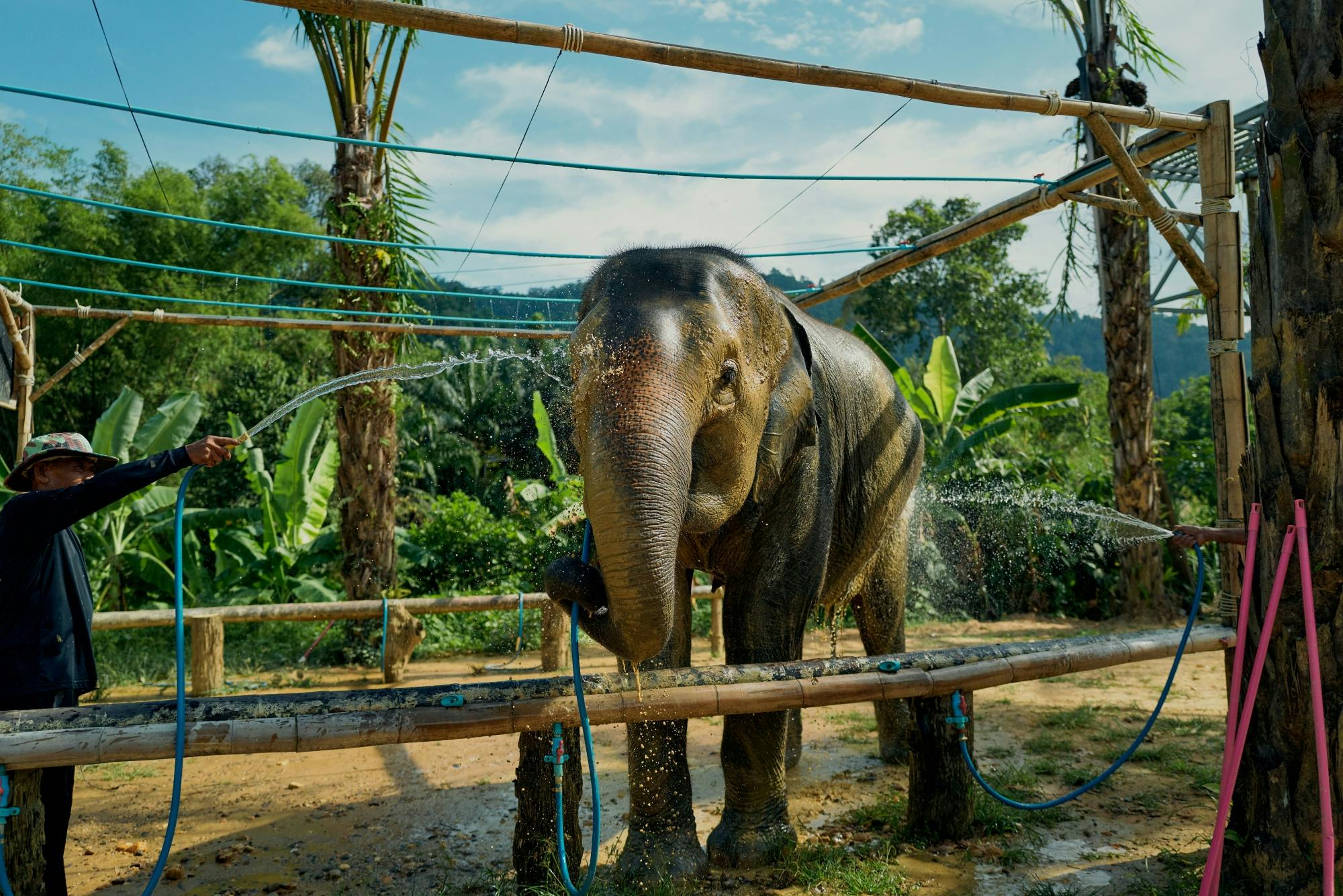 Full-day river rafting and elephant sanctuary tour with lunch