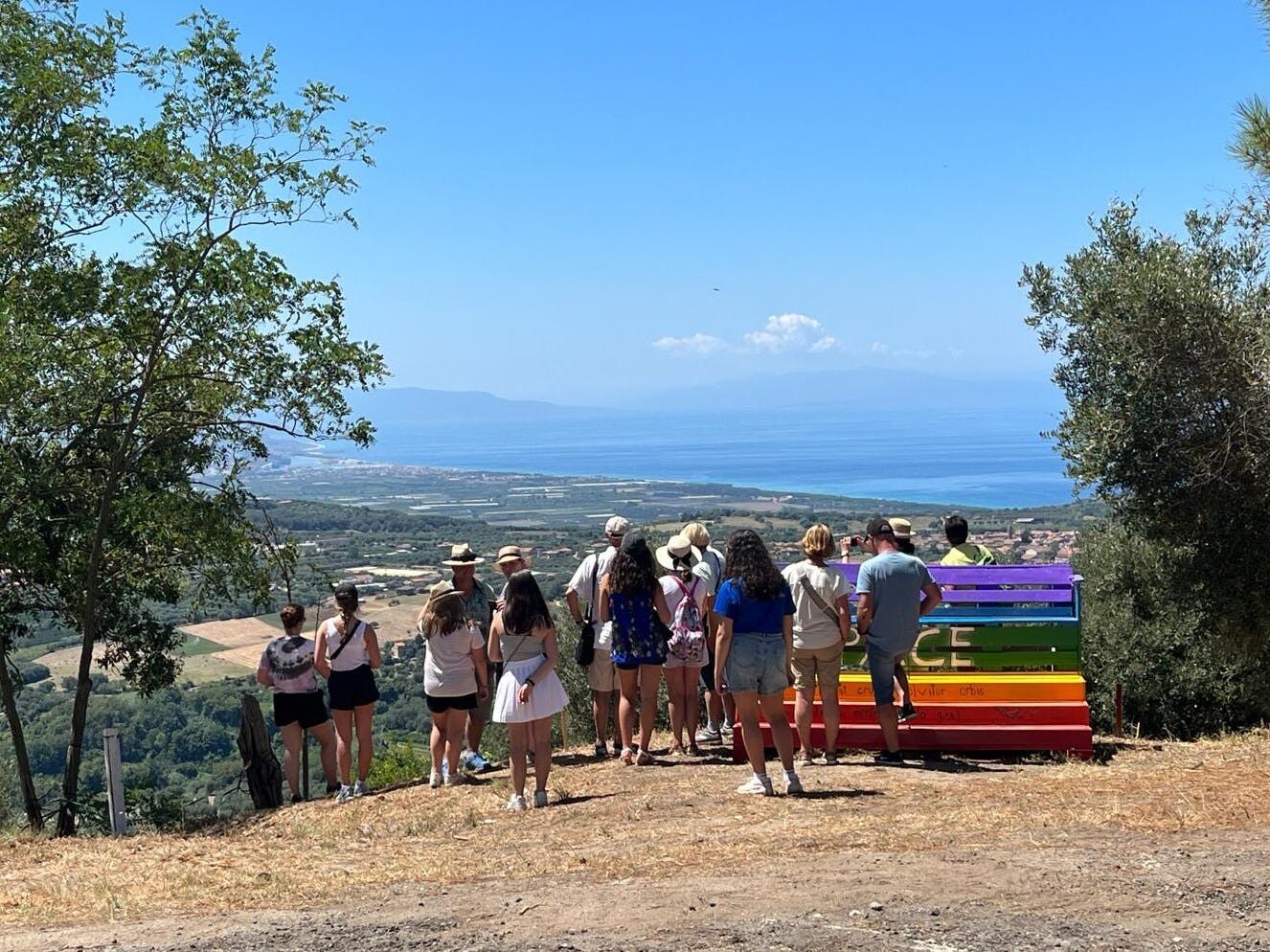 Full-day olive oil farm and Nicotera tour with Calabrian lunch