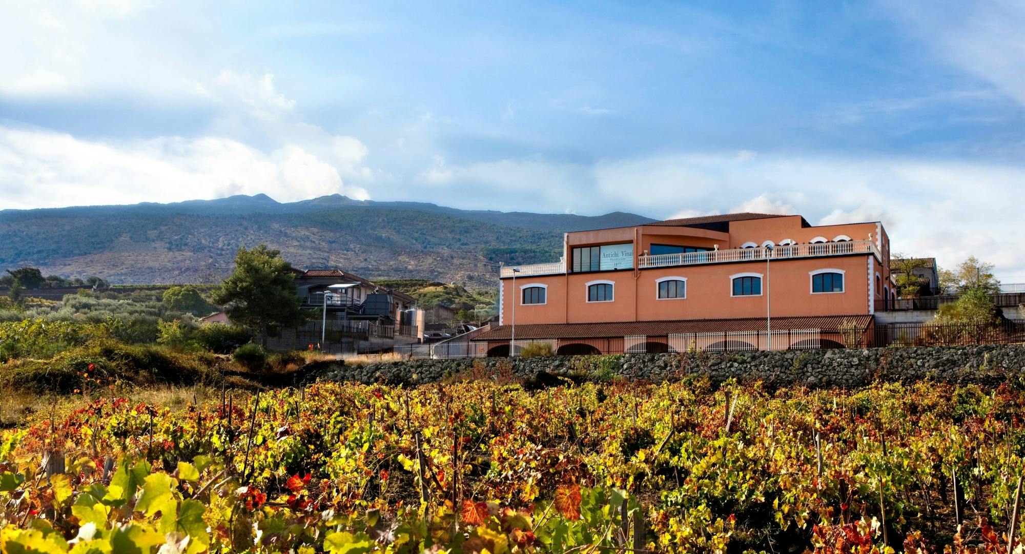 Mount Etna winery tour and tasting experience