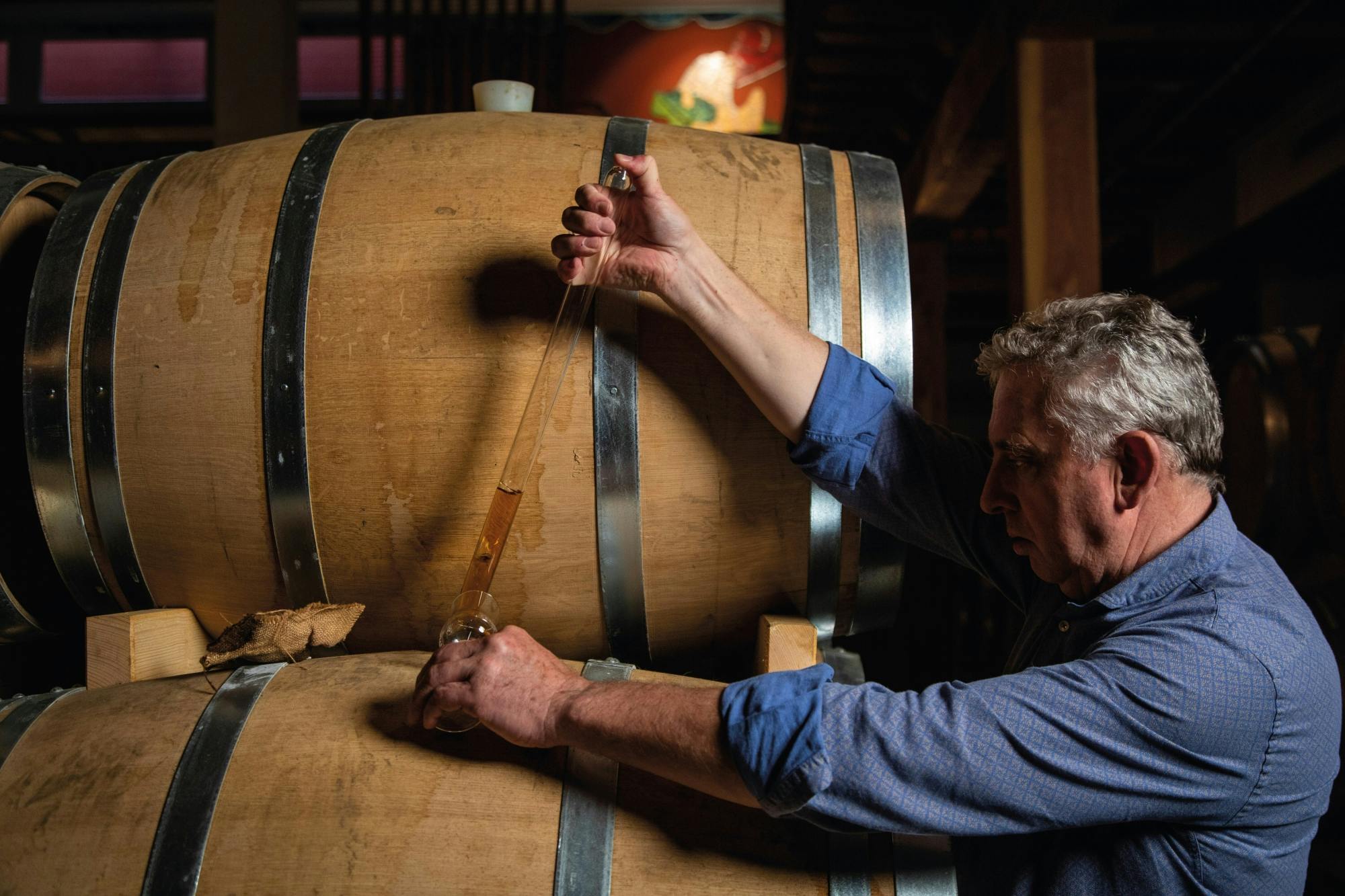 Lake Molveno with local speciality tastings