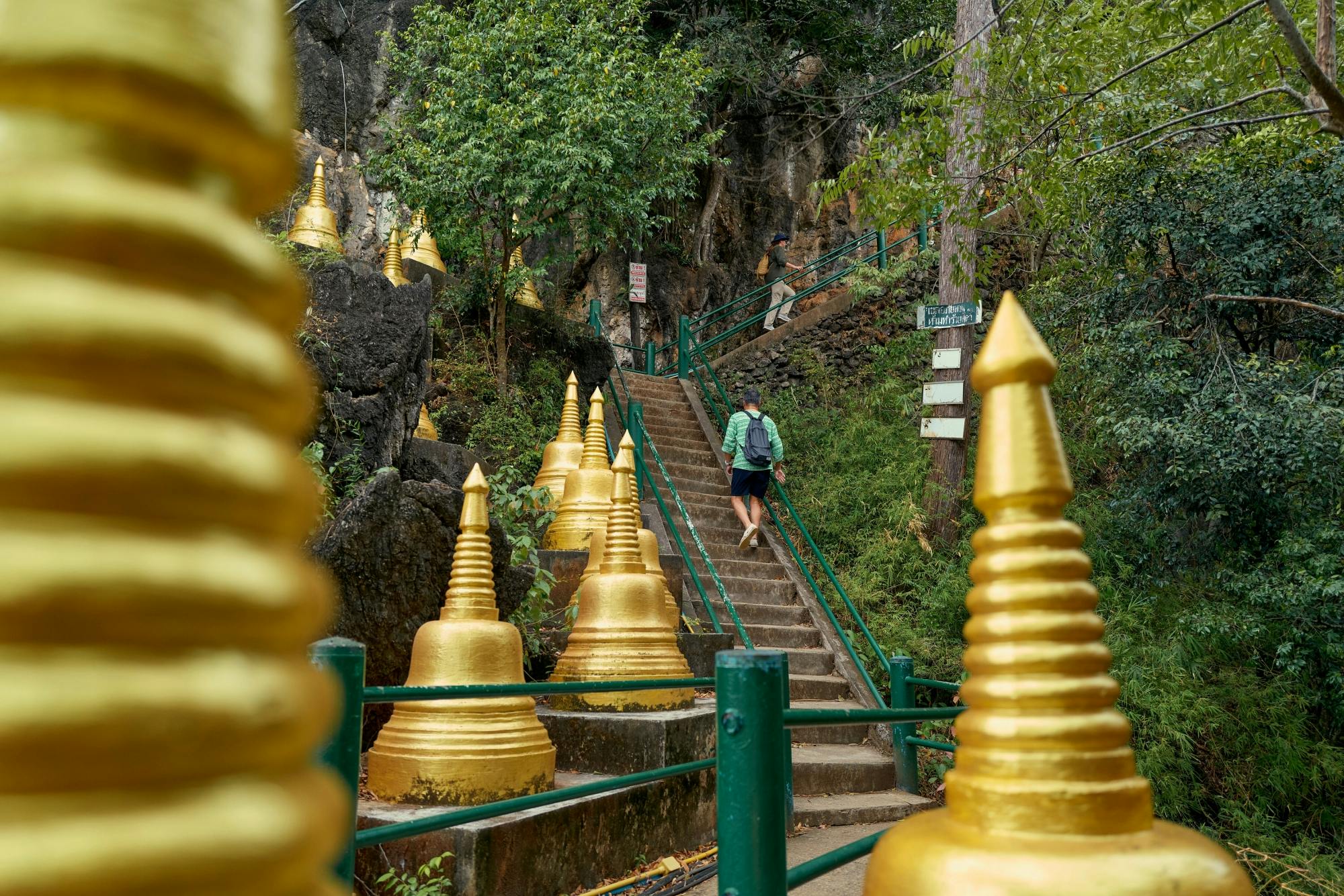 Krabi jungle tour with hot spring and Tiger Cave Temple