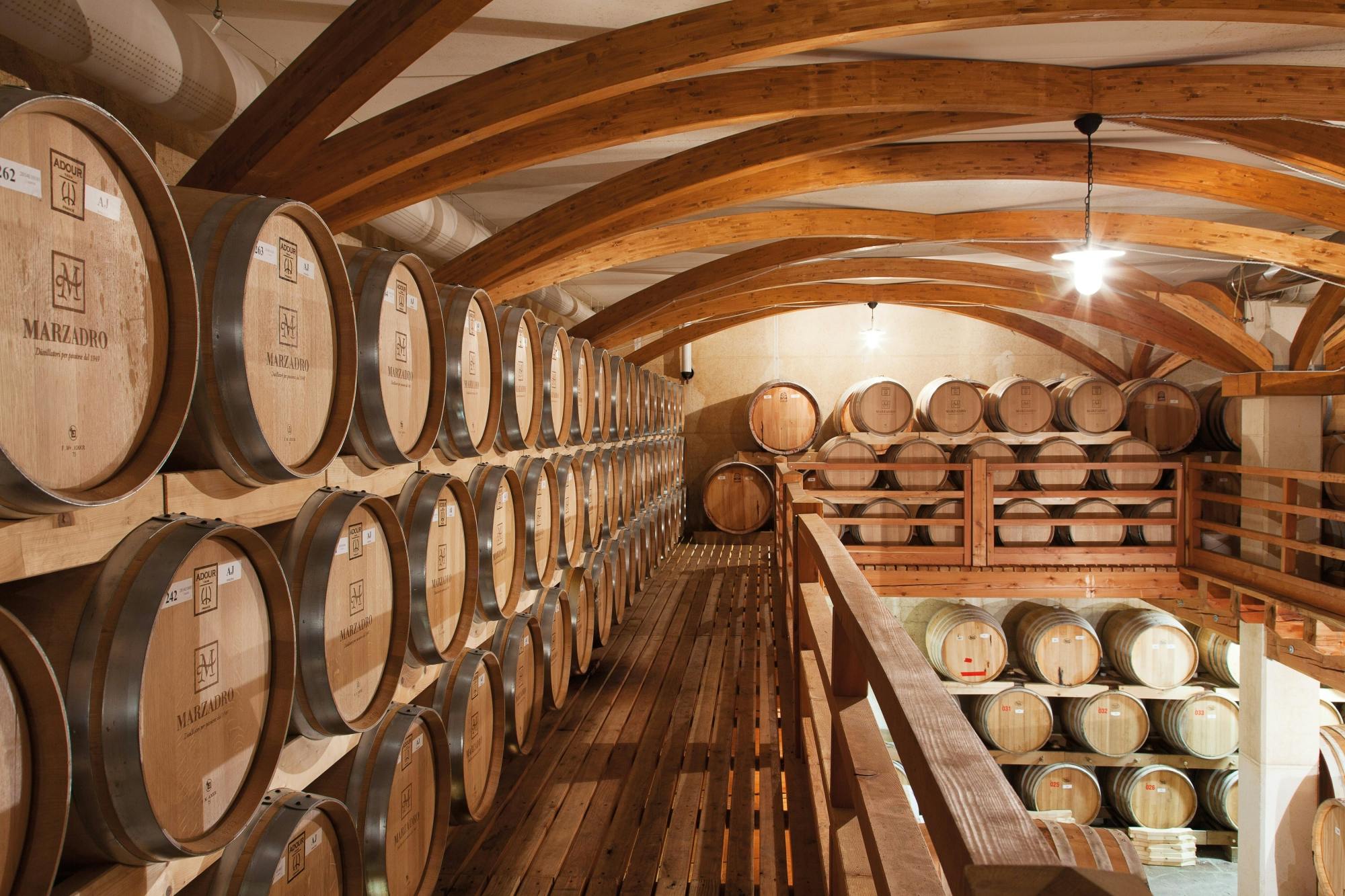 Lake Molveno with local speciality tastings