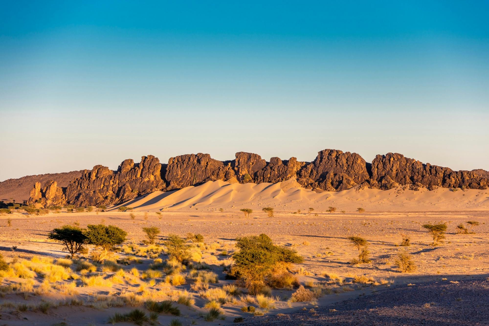 Sea, Dunes &and Tiznit Off-Road Tour