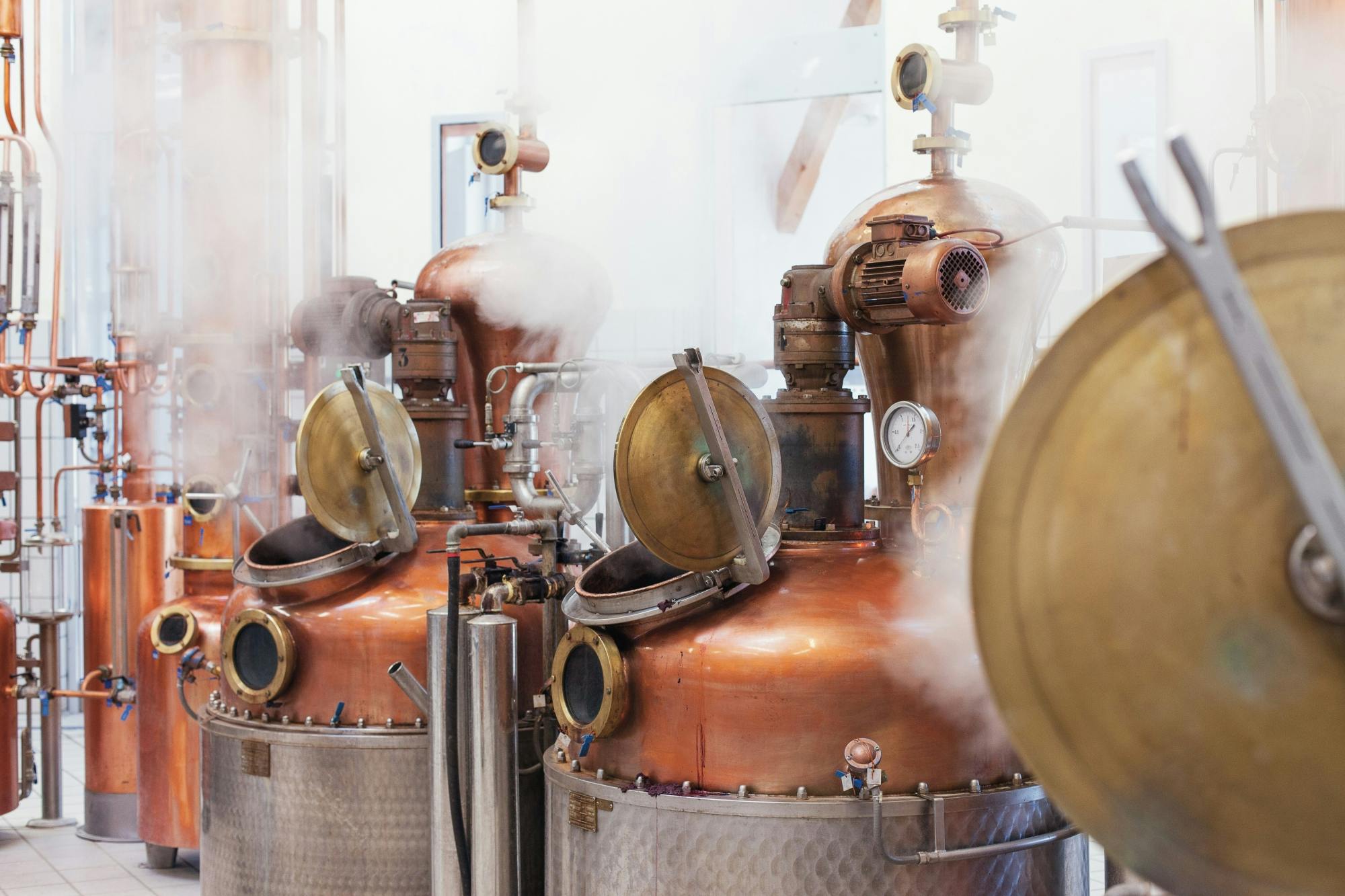 Lake Molveno with local speciality tastings