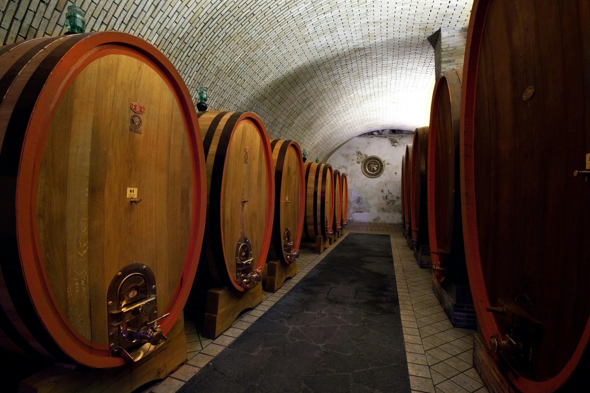 Mount Etna winery tour and tasting experience
