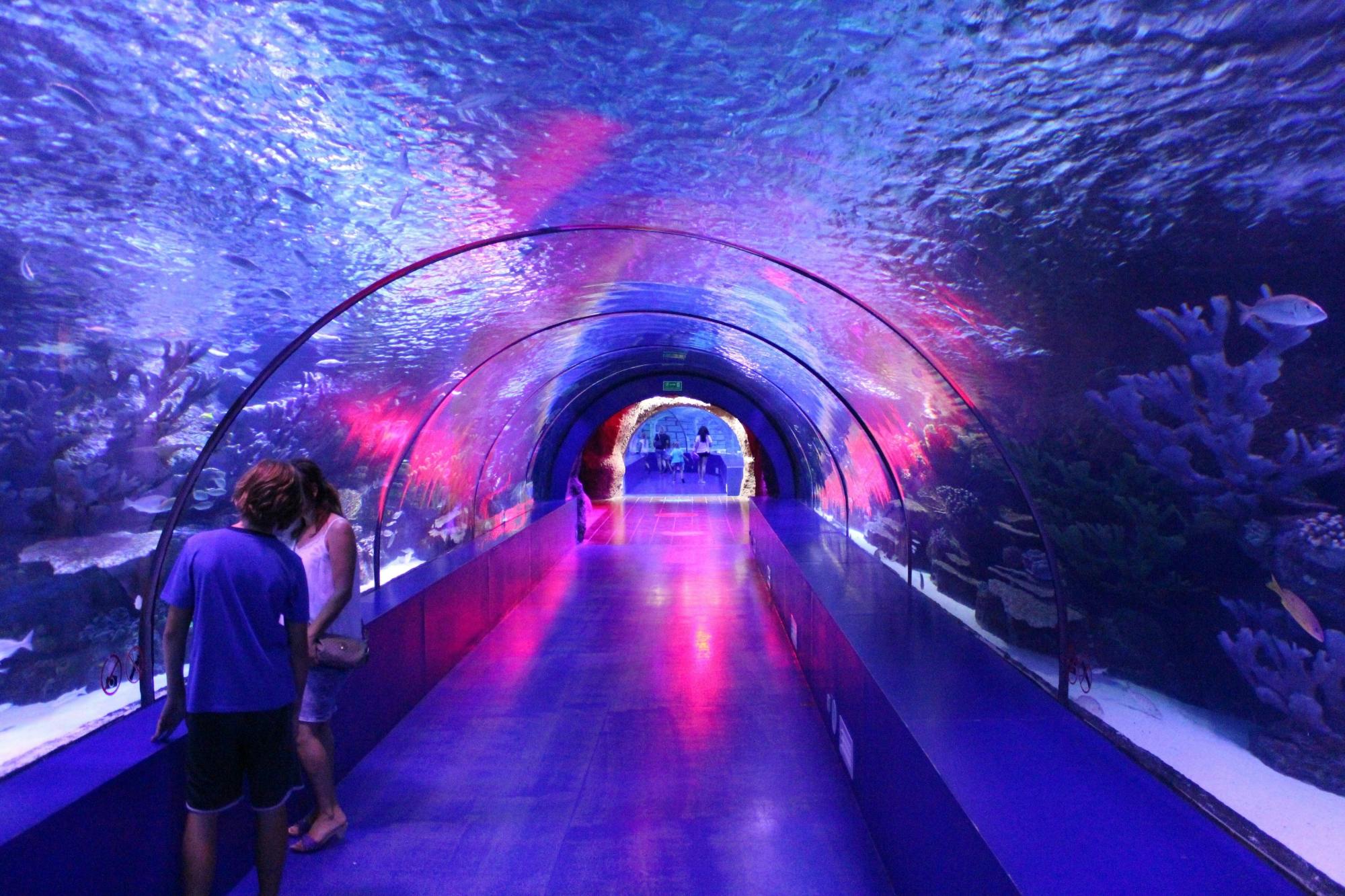 Antalya Aquarium & Besuch im Goldzentrum mit Altstadttour ab Hotels in Kemer