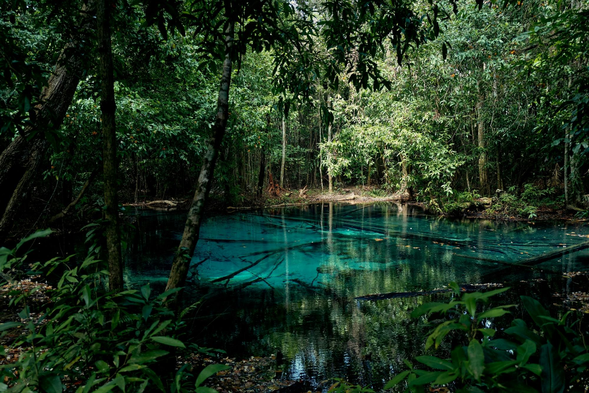 Krabi jungle tour with hot spring and Tiger Cave Temple