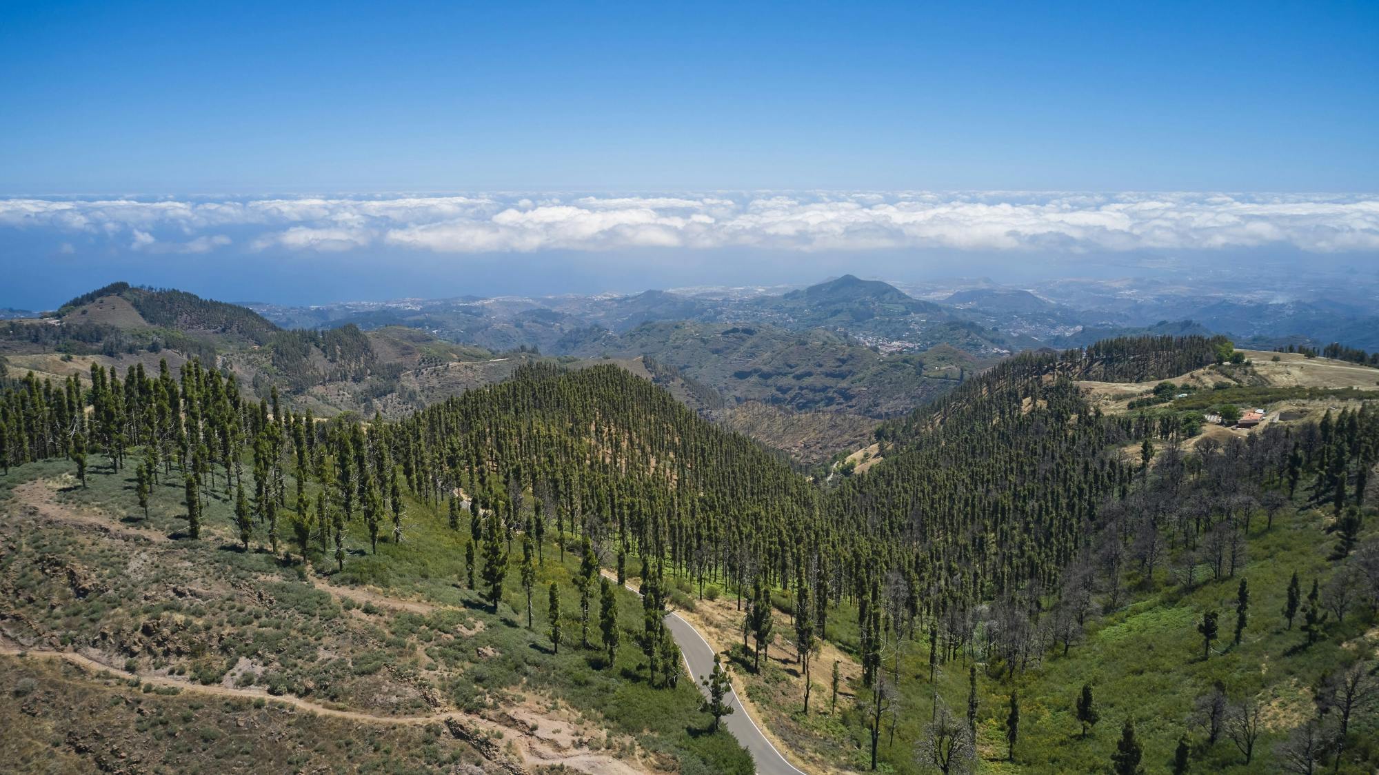 Island tour of Gran Canaria