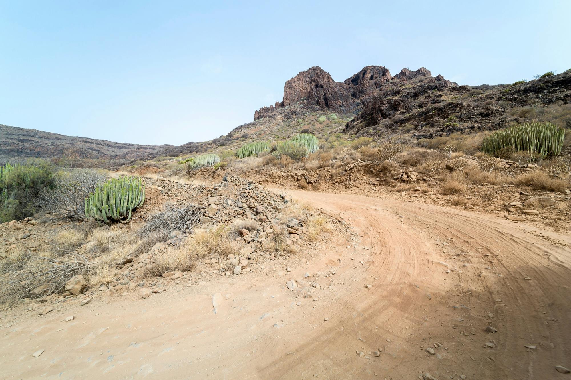 Gran Canaria 4x4 adventure with aloe vera farm visit