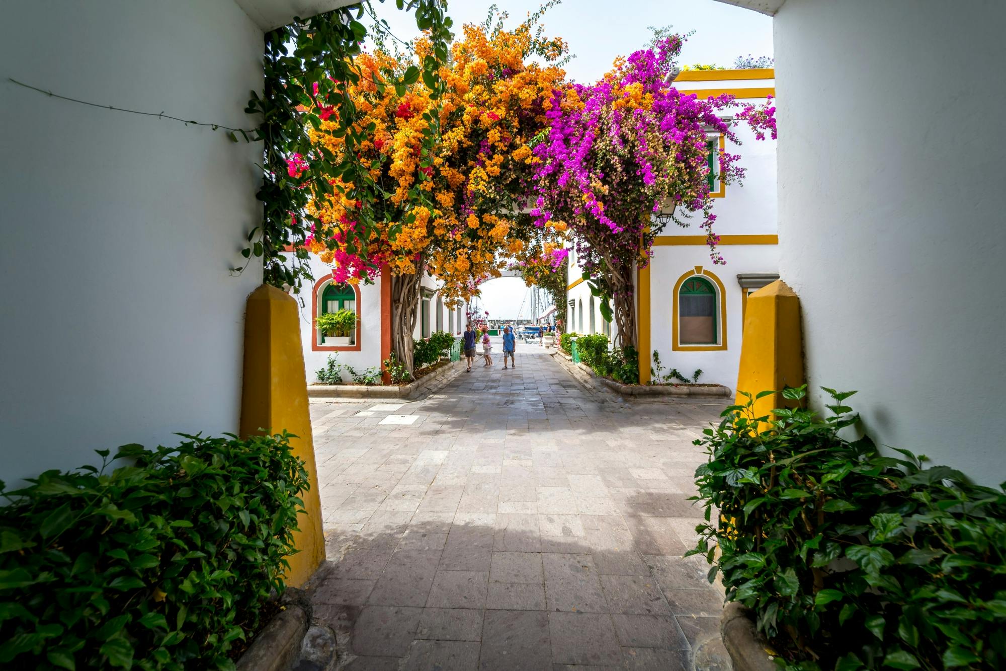 Gran Canaria's 'Little Venice' – visit Puerto de Mogan by boat