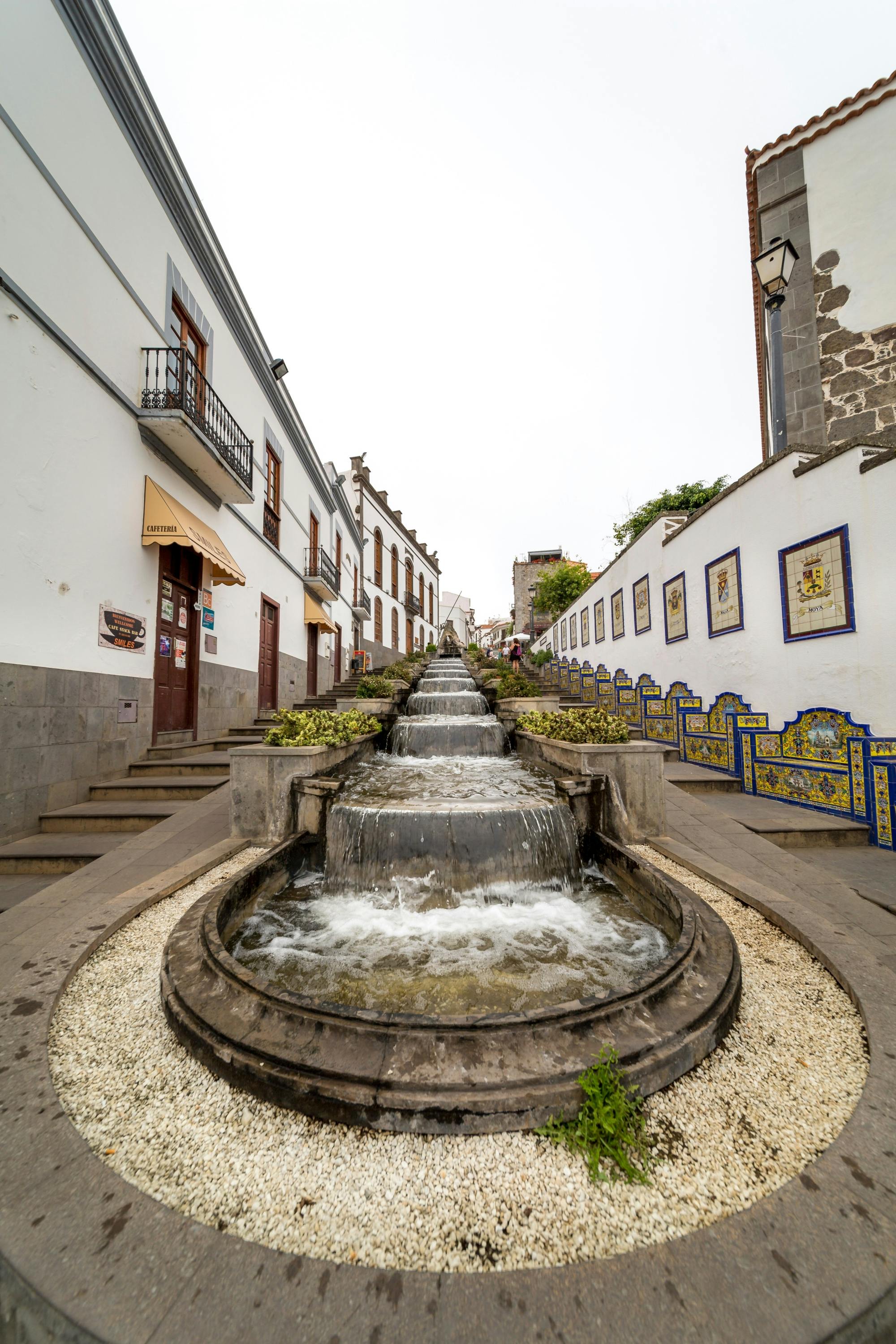 Sites & Bites: Gran Canaria botanical garden and fresh fruits