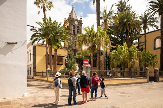 Full-Day Tenerife Tour with La Laguna and Lunch