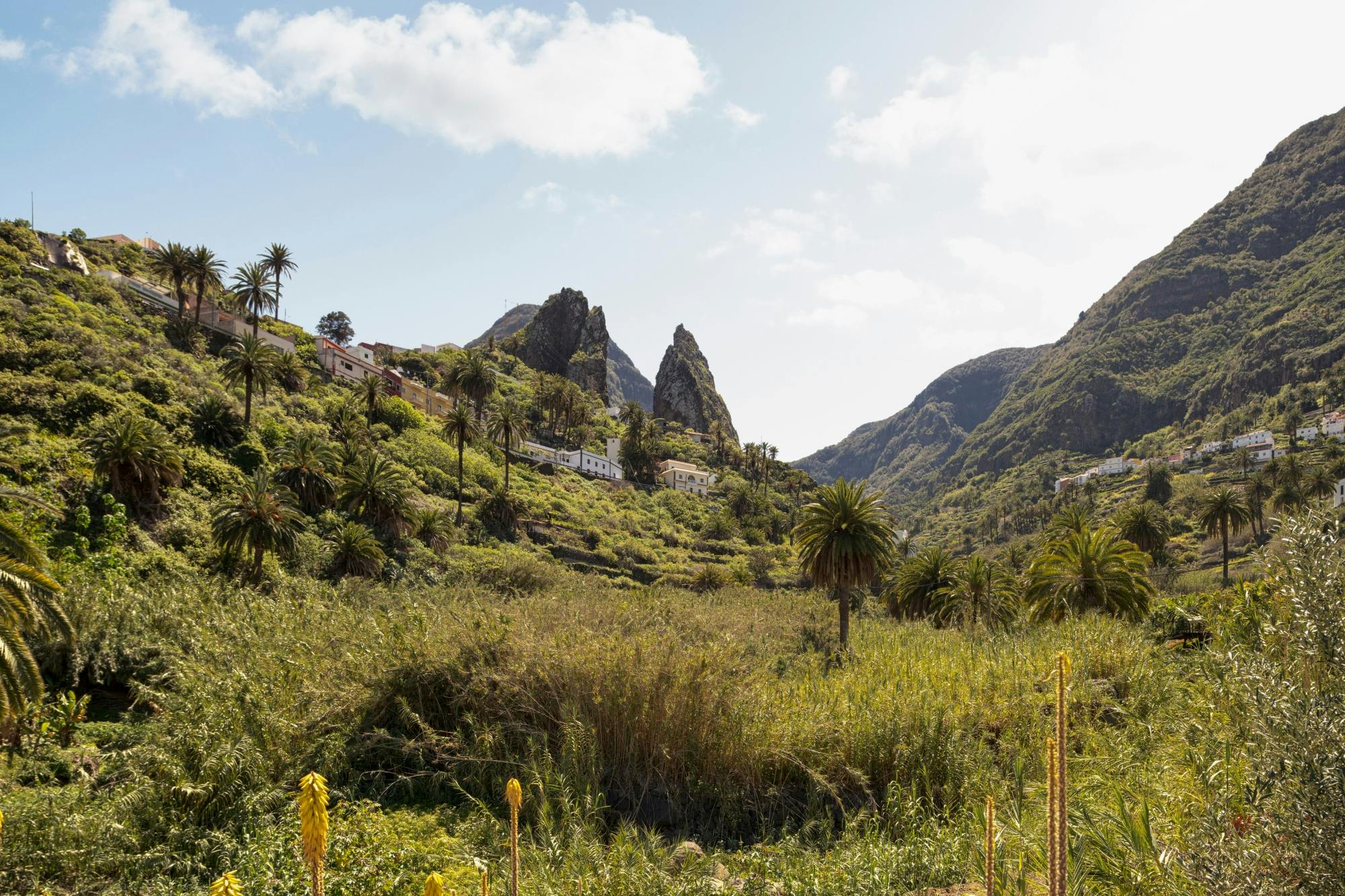 VIP guided tour of La Gomera with Garajonay Park and lunch