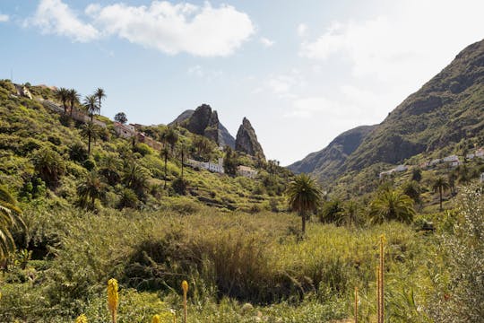 VIP guided tour of La Gomera with Garajonay Park and lunch