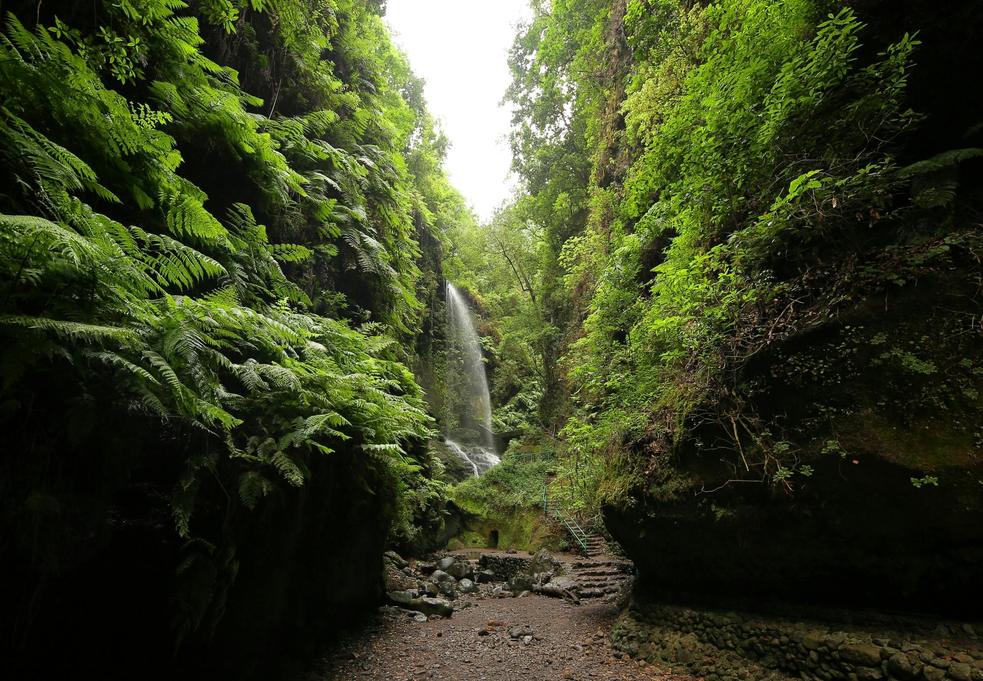 Northeast La Palma tour with Charco Azul and rum tasting