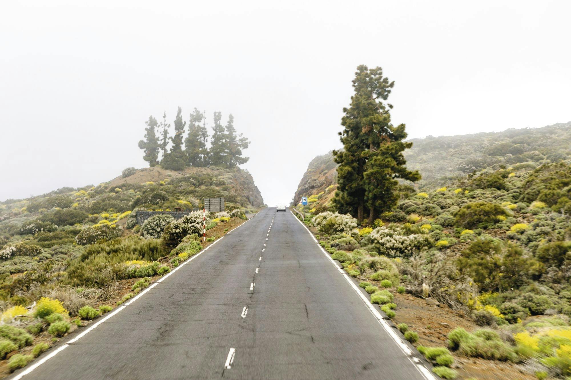 Teide National Park Tour with local guide