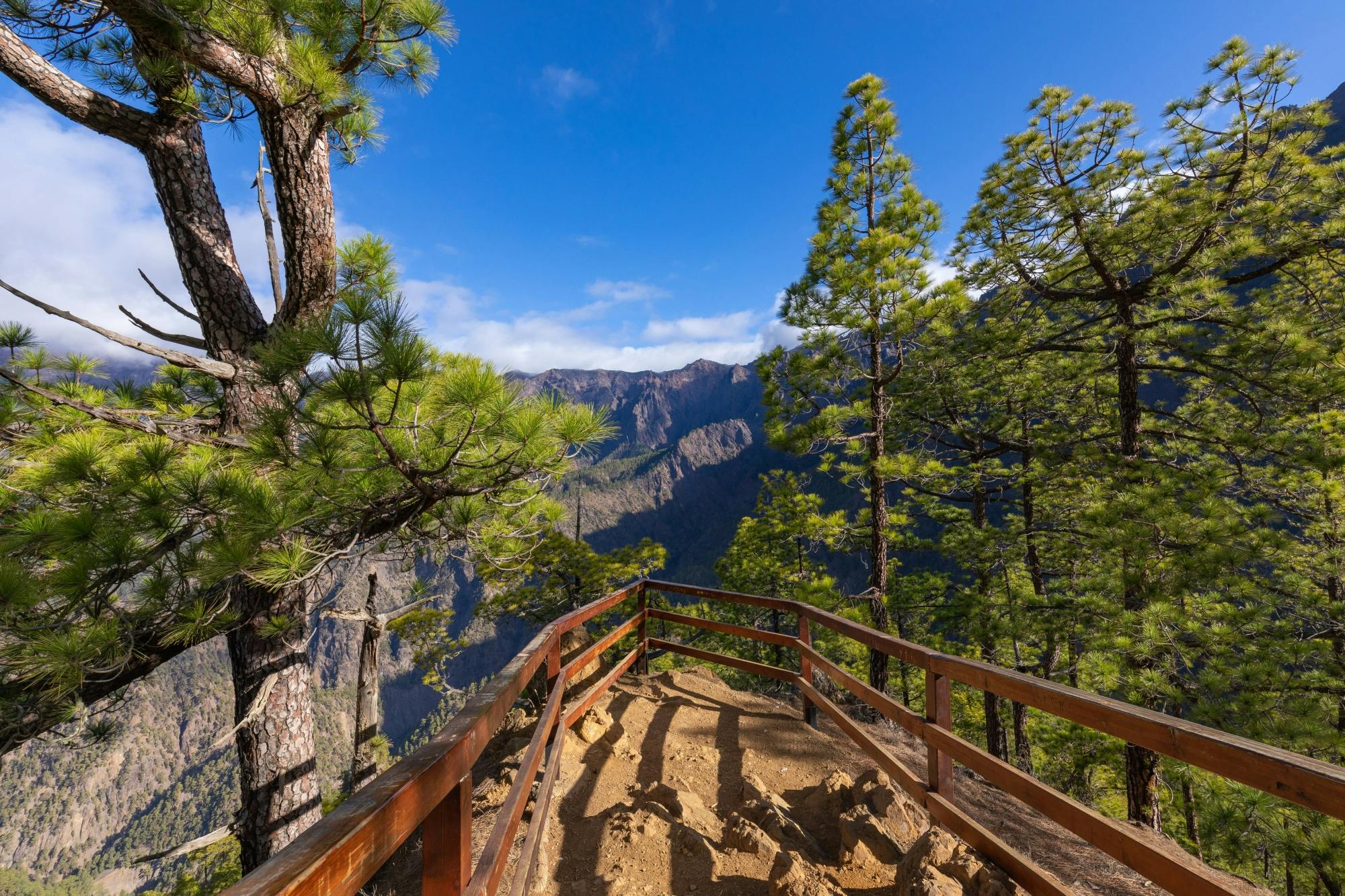 Full-day tour of northern La Palma with Roque de los Muchachos