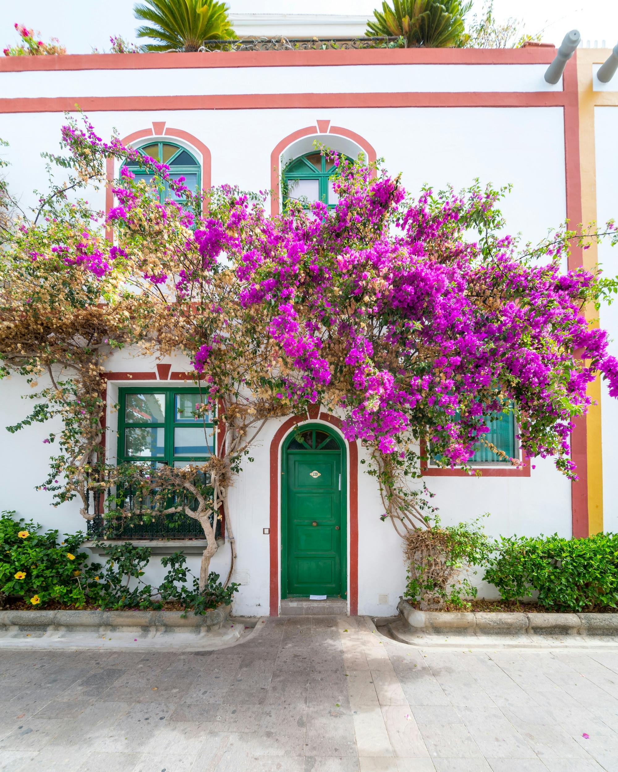 Gran Canaria's 'Little Venice' – visit Puerto de Mogan by boat